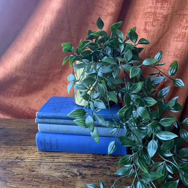 Vintage Hardback Blue Book Bundle Academia Classic Literature Shelf Display