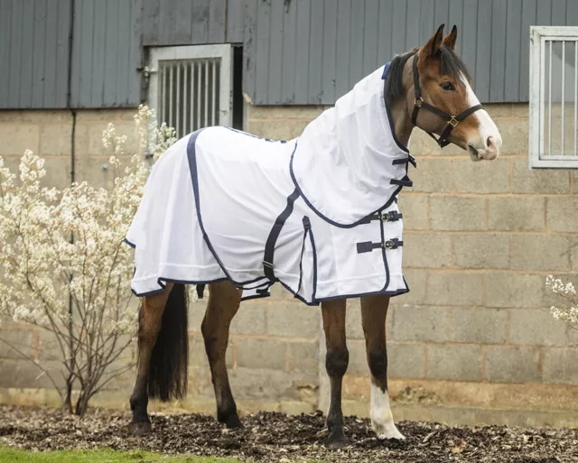 Horse Fly Rug Rhinegold Detachable Neck Cover Summer Sun Protection Fly sheet UV