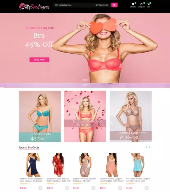 Established Profitable LINGERIE Turn-key Online Business Website For Sale