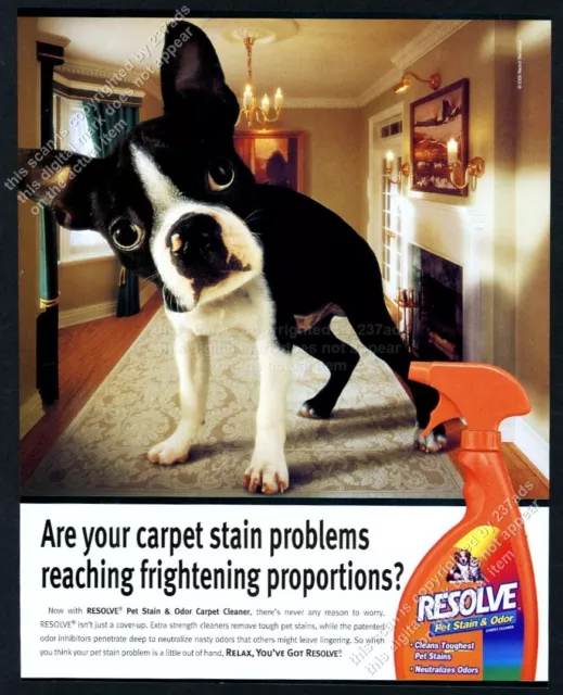 2000 Boston Terrier giant dog photo Resolve carpet cleaner vintage print ad