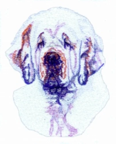 Embroidered Fleece Jacket - Clumber Spaniel BT3516  Sizes S - XXL