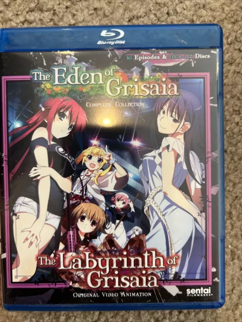 Anime Blu-ray Disc The Labyrinth of Grisaia : Rakuen First Press Limited  version 6-volume set with box, Video software