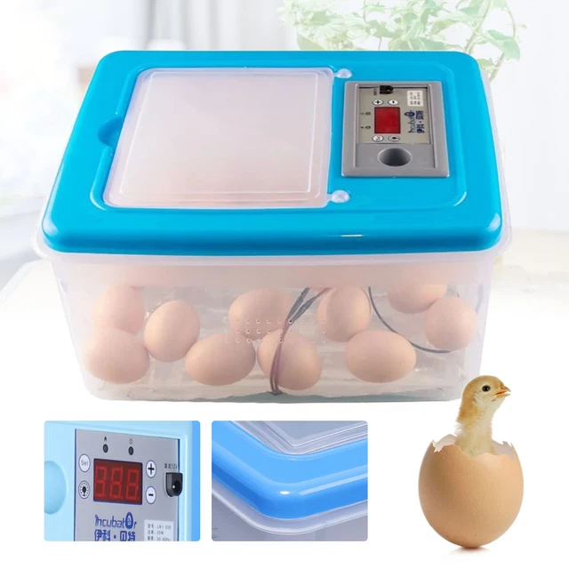 34 Eggs Incubator Digital Incubator Chicken Hatcher for Chicken Goose Duck 30W