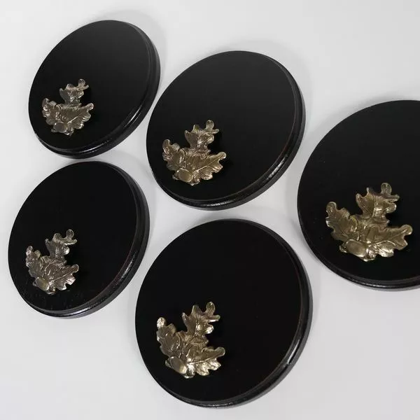 5 Pieza Keilerschilder Gewaffbrett Oscuro AF19cm Con 5 Hoja de Roble Grande 3