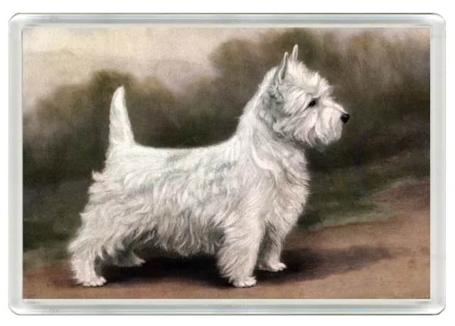 West Highland White Terrier Westie Dog Print Novelty Fridge Magnet   Great Gift