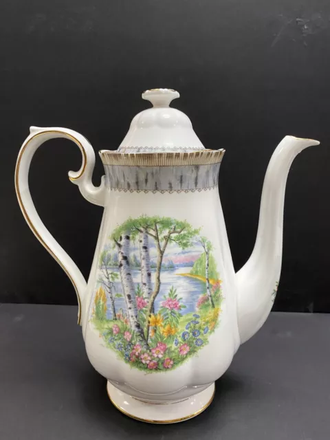 Royal Albert Silver Birch Large Coffee Pot - England 2