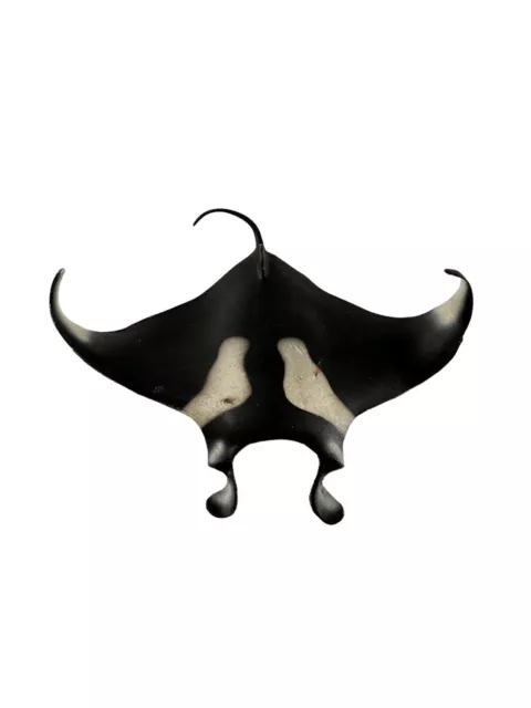 Manta Ray Monterey Bay Figure Safari Ltd Sting Figurine Toy Educational Vintage