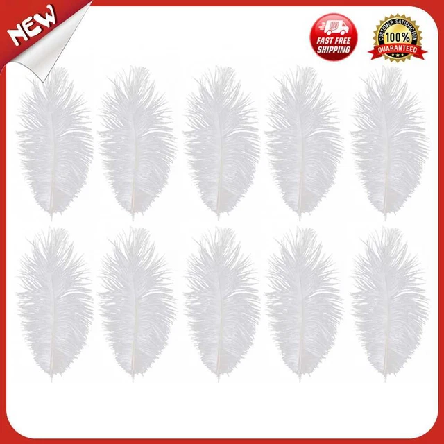 es MOTINGDI CAR 10 piezas elegantes plumas de avestruz esponjosas boda fiesta fa