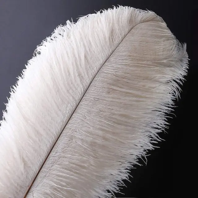 10pcs Natural Ostrich Feathers Plume - 14-16inch(35-40cm) for Centerpieces
