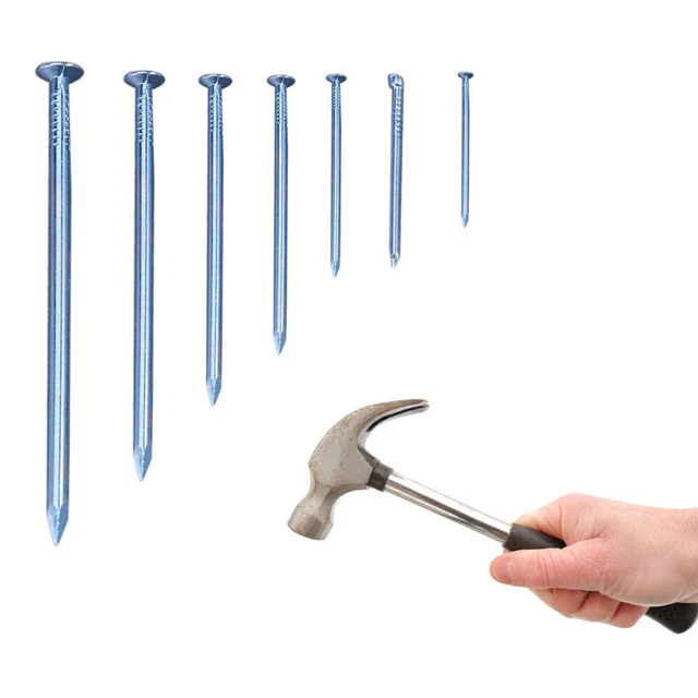 240pcs Nagel-Kits Verzinkte Nägel Zum Aufhängen Von Bildern Aus Stahl