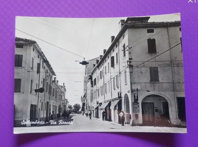 Spilamberto - Via Roncati.