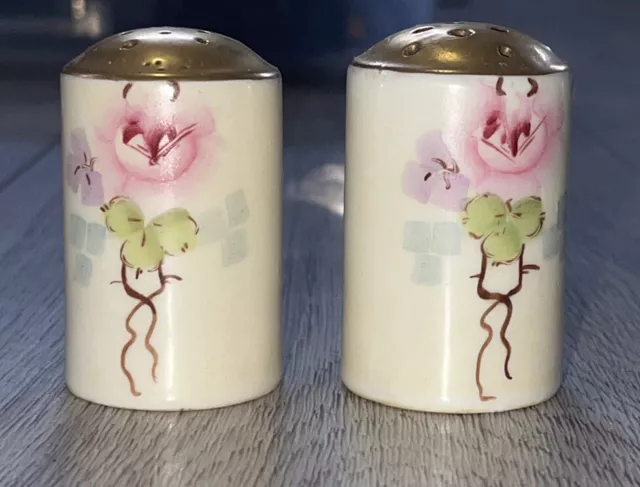 Vintage Hand Painted Salt & Pepper Shakers ⭐️ Antique