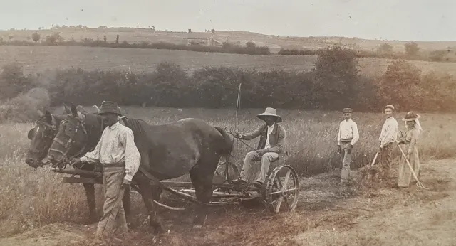 Antique Photo cliché image Le travail aux champs en famille chevaux moisson