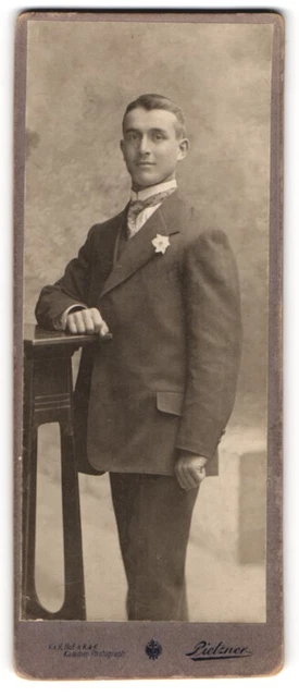Fotografie C. Pietzner, Wien, Junger Herr im Anzug mit Krawatte