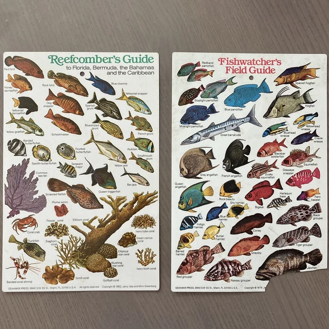 1979 Fishwatcher's Field Guide Florida Bermuda Waterproof Laminated ID Cards 2pc