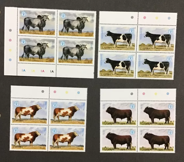 Zambia 1987 XF MNH Sc #418-21, Blocks of 4, FAO, World Food, Cattle.  (W37)