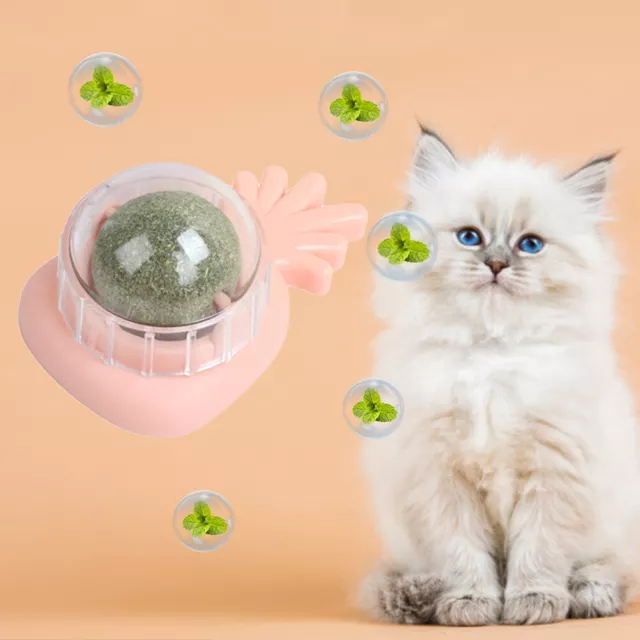 Juguete de bola de juguetes hierba gatera para gato saludable juguete de masticación giratorio para limpieza dental