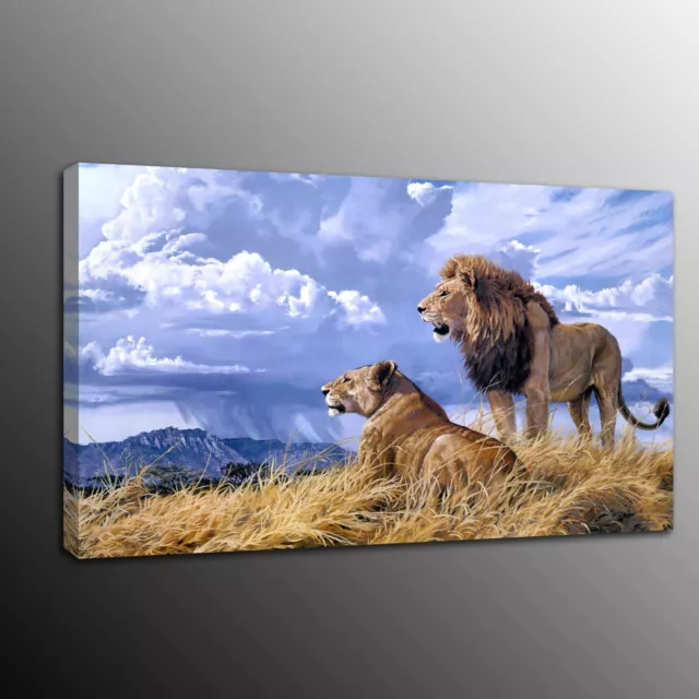 Animals Home Decor Canvas Print Painting Wall Art Prairie lion Pictures Framed