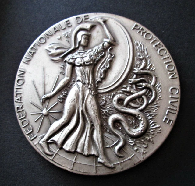 Médaille Commémorative Union Nationale De Protection Civile 1994 - Insigne Officiel Français, Modèle 158-48/P4