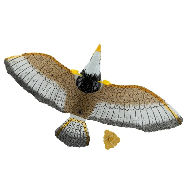 Décoy de jardin de chasse aigle dissuasif faucon épouvantail