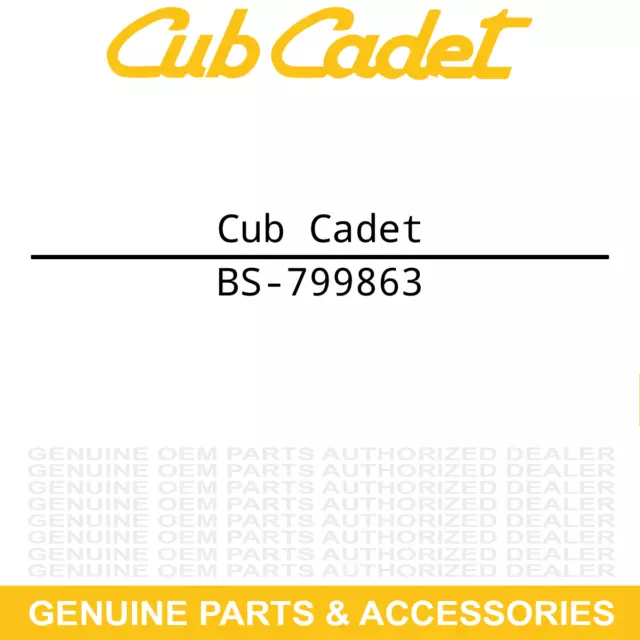 CUB CADET BS-799863 Fuel Tank SWE RT JS1150 FT55 F8 Engine CS3310 CS2210 945 933