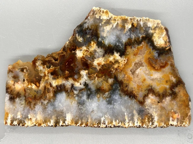 Graveyard Point Plume Agate Slab - Marcasite - Oregon - 5” x 3” - 126grams