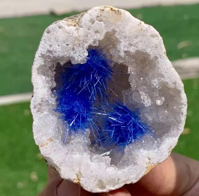 88G Rare Moroccan blue magnesite and quartz crystal coexisting specimen