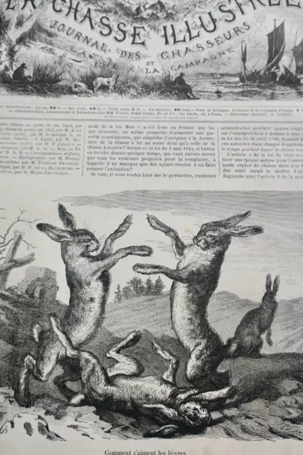 Chasse illustrée - Journal des chasseurs et de la vie à la campagne 1873