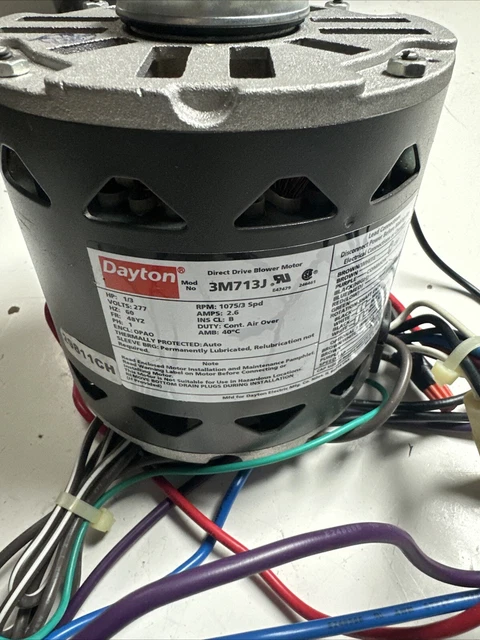 ⭐︎ I popped into local business, Budd Electrical earlier and