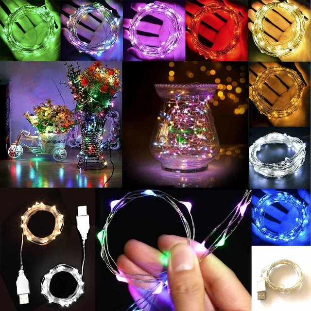 2m 5m 10m 20m USB Plug in Micro Rice Wire Copper Fairy String Party LED Lights