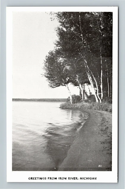 RPPC Iron River MI-Michigan, Scenic Greetings Real Photo Vintage Postcard