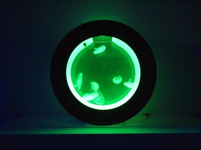 Round Desktop Jellyfish Aquarium Tank Kit for Real Live Jellyfish Fish Tank 3