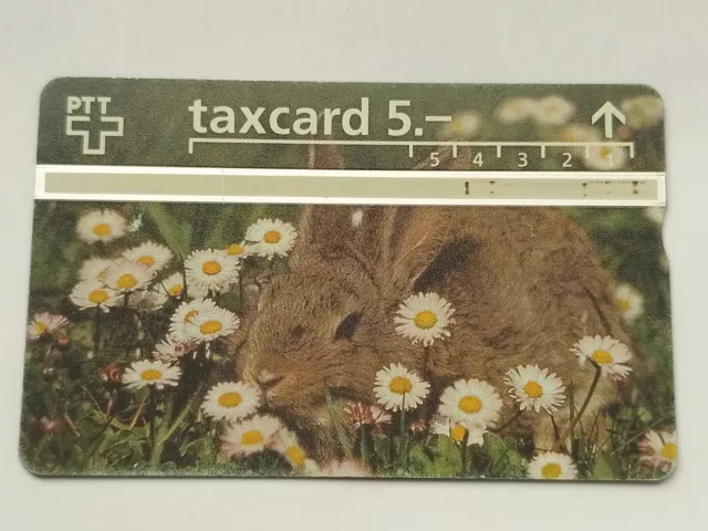 Vintage Retro Card taxcard 5.- PTT Switzerland Swiss Rabbit daisy's