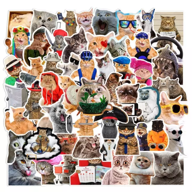 ⭐ 66 Piezas Fun Cat Meme Divertido Gatos Style Pegatina Stickerbomb Set de