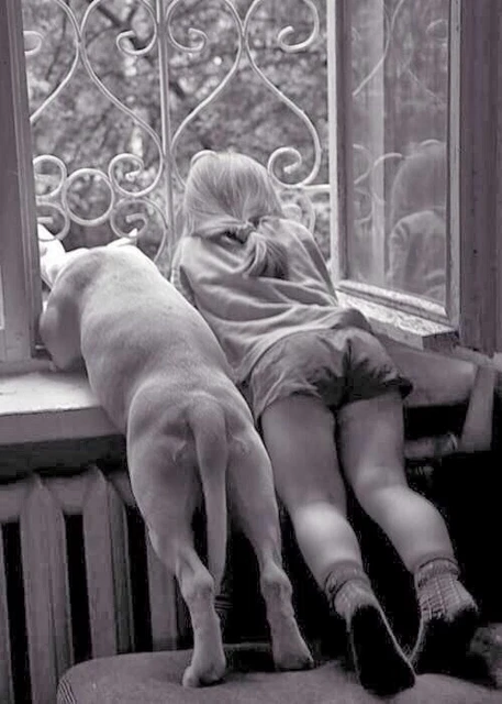 Antique Best Friend Photo 668b Odd Strange & Bizarre