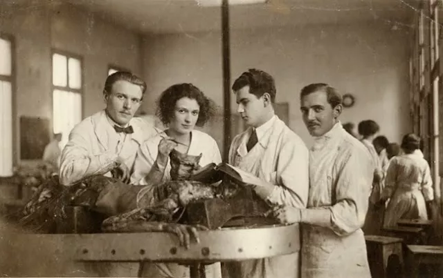 Antique Medical Autopsy Photo 577b Oddleys Strange & Bizarre