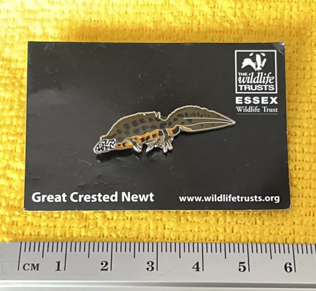 Collectable Wildlife Trusts pin badge  On Card - Great Crested Newt Pond Life