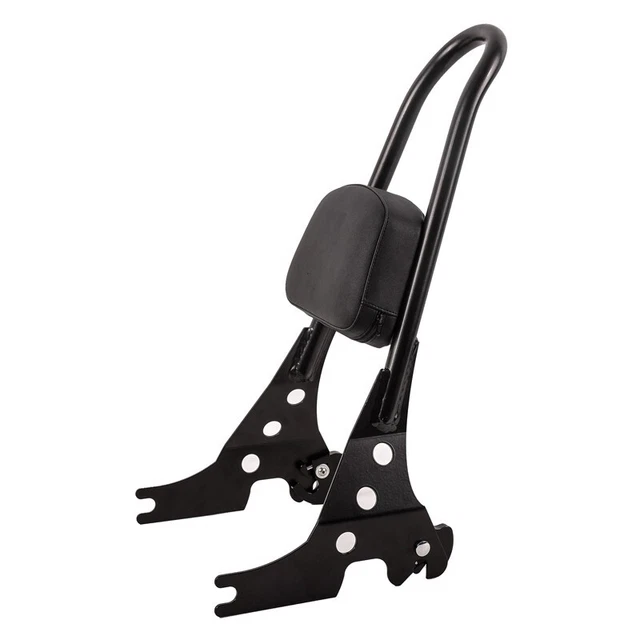 Sissy Bar Abnehmbar CSM für Harley-Davidson Sportster 04-20 schwarz gebraucht