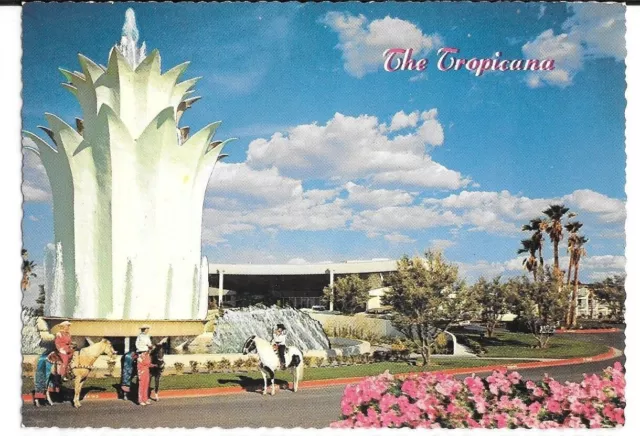 1950s Tropicana Las Vegas Hotel Casino Front view postcard Cowboy girl Horse NV