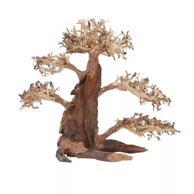 XL Bonsaï Arbre Nr.12064 Racine Bois Aquarium Déco Aquascaping Nature Oriental