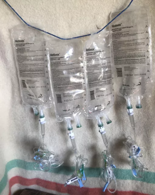 4 Empty IV Bags 1000ml LRS Ext & Primary Line Nursing Garden Prepper Halloween!