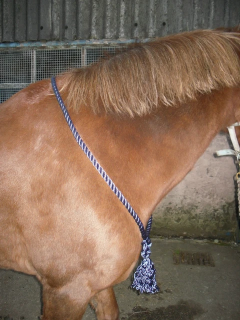 Cuerda De Comunicación Para Caballos Parelli - Tamaños Surtidos, Material De Yate, Equitación Natural