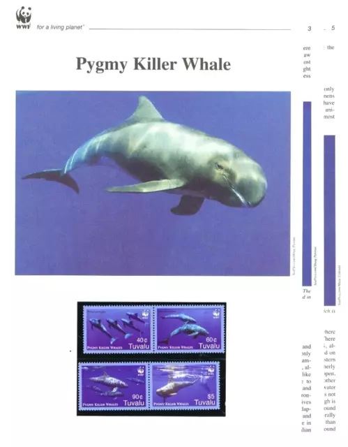 WWF 2006 Tuvalu ballena asesina pigmea número 1 1307-10 **/MNH + inglés. Descripción