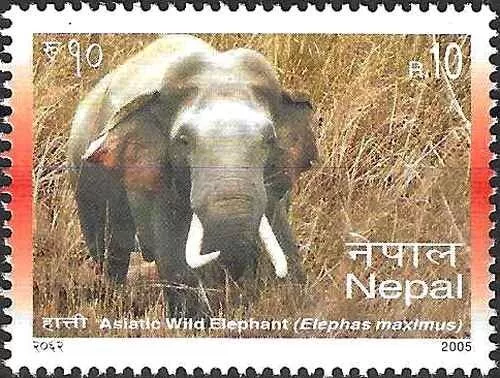 Timbre Animaux Mammifères Eléphants Népal 809 ** de 2005 (67151DT)