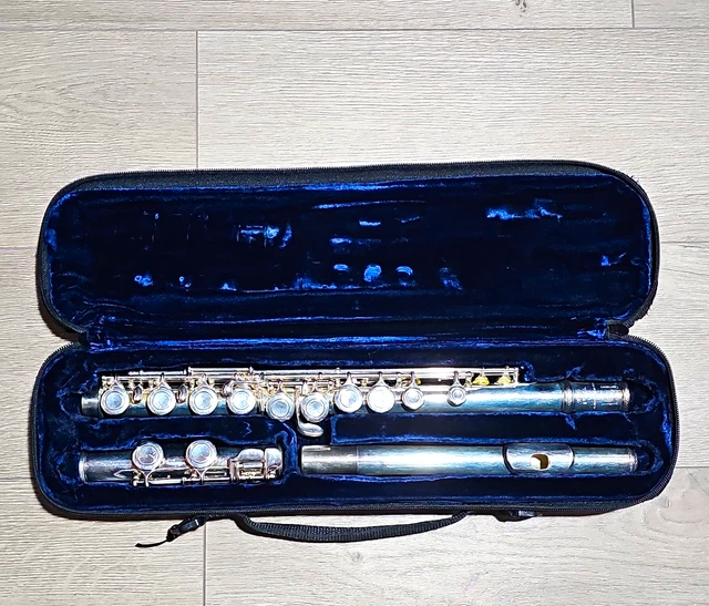 TREVOR JAMES TJ10X Flute in Zipped Padded Case £75.00 - PicClick UK