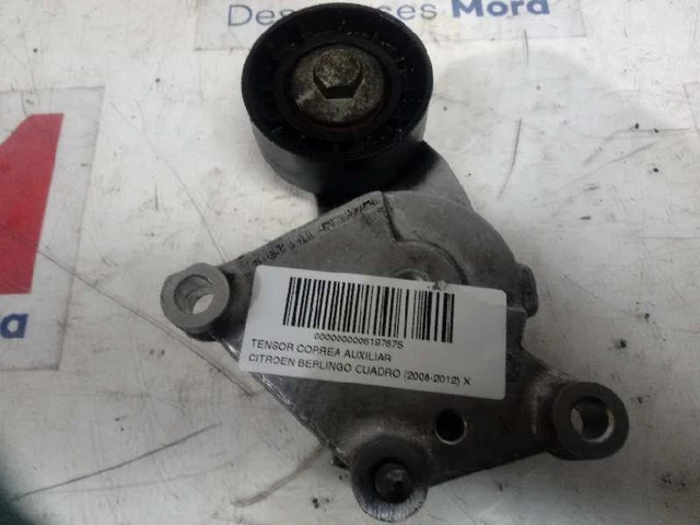 galet tendeur pour CITROEN BERLINGO 1.6 HDI 90 2008 6197675