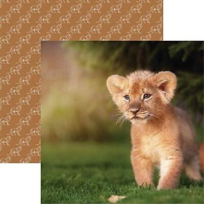 Lion Cub - King of the Jungle - Papeles de álbum de recortes de 12x12 por Reminisce - 5 hojas