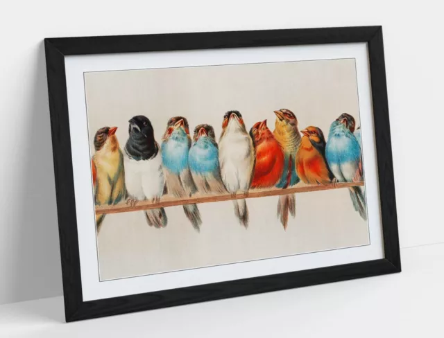 Birds On A Perch Vintage Art -Art Framed Poster Picture Print Artwork- Red Blue