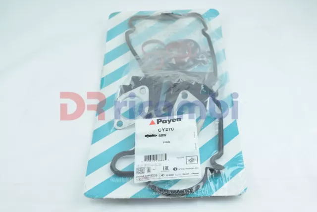 SERIE SMERIGLIO SENZA TC BMW 3 318 tds M41 D17 (174T1) PAYEN CY270 2