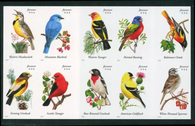 US Scott #4882-4891 Songbirds 2014 Block of 10 From Pane 4891b MNH **FREE SHIP**